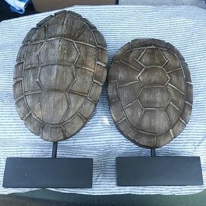 Art turtle shells display 2 of them